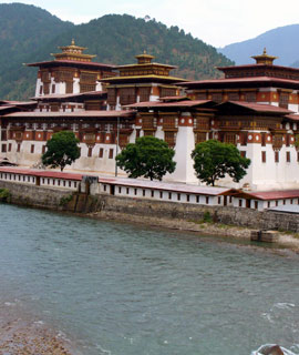 Punakha Dzon